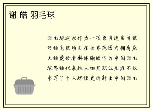 谢 皓 羽毛球